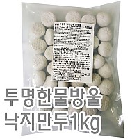 투명한물방울낙지