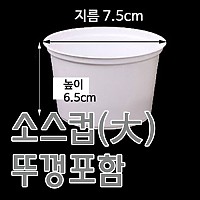 소스컵(대/흰색)