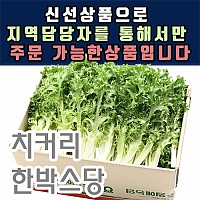 치커리