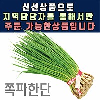 쪽파